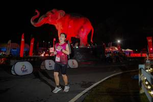 BIB: 
                            <button type="button" onclick="openModal(26551943)" class="btn btn-primary btn-sm float-right btn-popup" data-toggle="modal" data-target=".modal-high-quality">
                        <i class="fas fa-shopping-cart"></i> Add to Cart
                    </button>
                                            <button type="button" onclick="isThisMe(26551943, true)" class="btn btn-success btn-sm float-right btn-popup btn-isme hidden" data-toggle="tooltip" data-placement="bottom" title="นี่คือรูปของคุณใช่ไหม คลิกที่นี่เพื่อเอาเข้าอัลบั้ม">
                        <i class="fas fa-plus"></i> Add to album
                    </button>
                    <button type="button" onclick="isThisMe(26551943, false)" class="btn btn-warning btn-sm float-right btn-popup btn-isnotme hidden">
                        <i class="fas fa-ban"></i> Remove from album
                    </button>